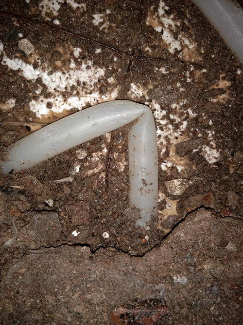 安义堵点精准查找